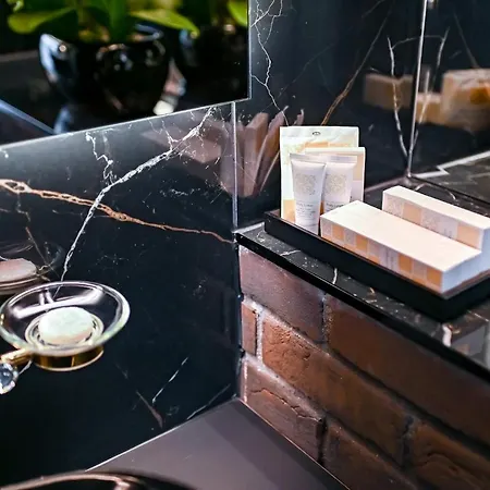 Diamond Sveciu Namai 4* 카우나스